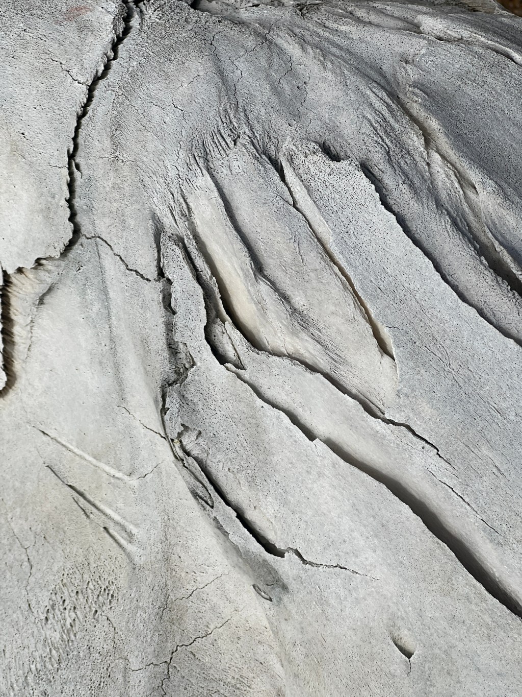 Poems by Leah Marie&nbsp;Johnson