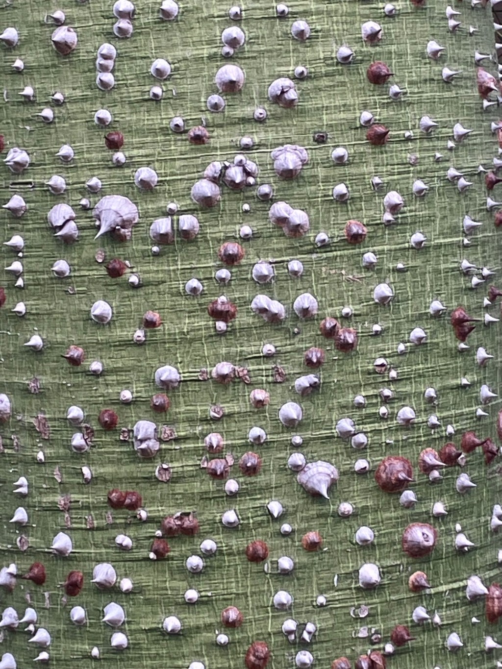 3 poems by Christopher&nbsp;Law